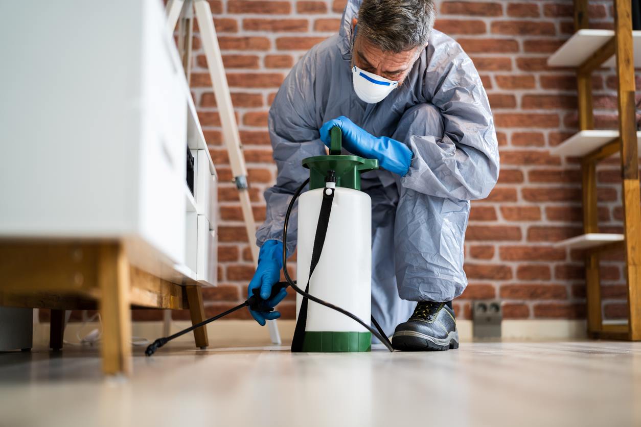 Disadvantages of Cheap Pest Control